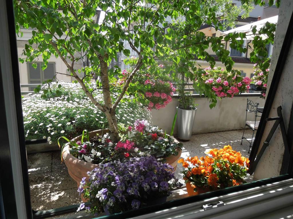 Tweepersoonskamer met Terras